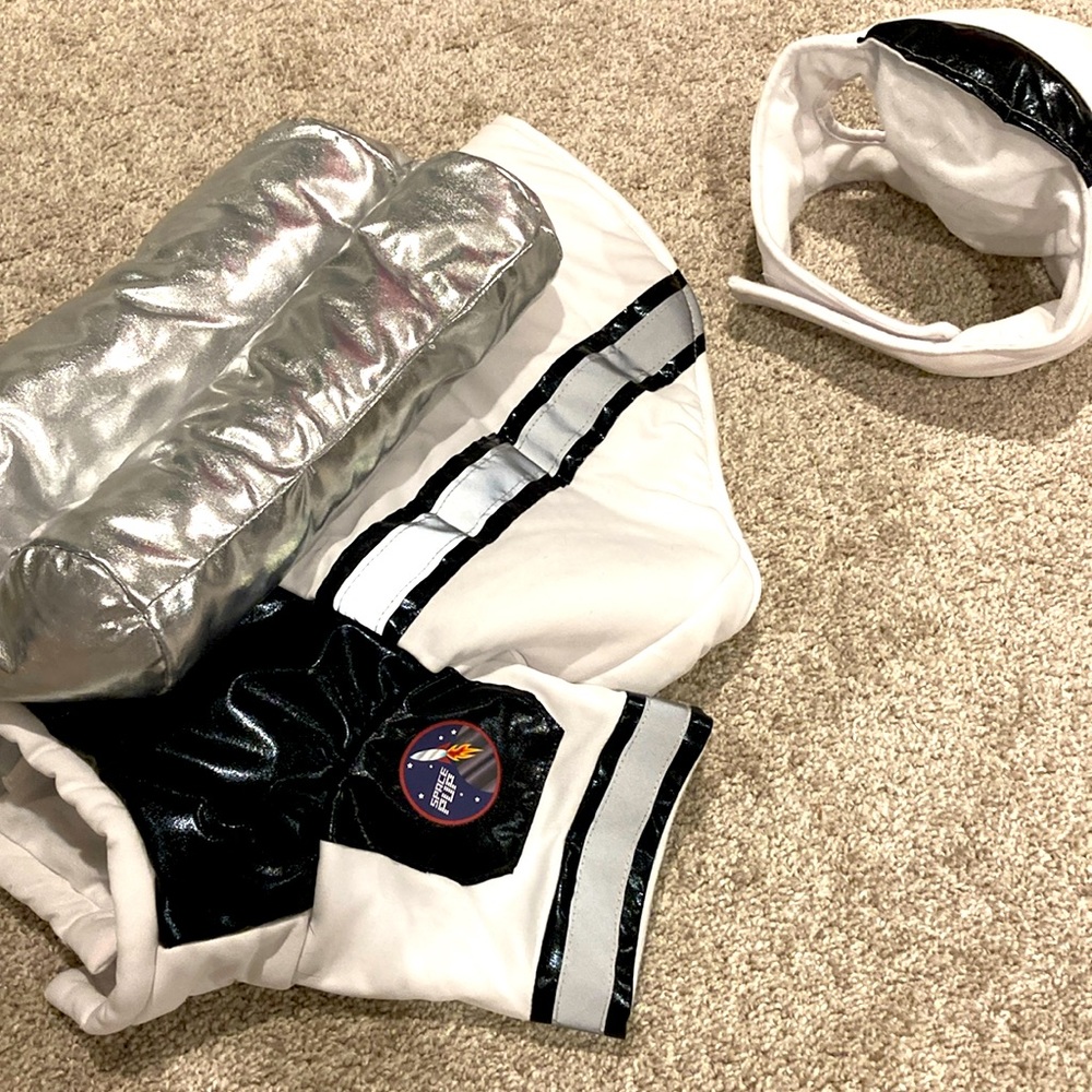 Astronaut costume for dog